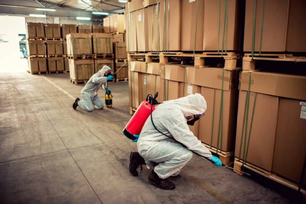 Best Residential Pest Control  in Kahuku, HI